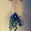 Suspension pour plante en macramé 100% coton. Fait main