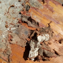 Très vieux tissus enlevé de l'ancienne table avec la patte mouille