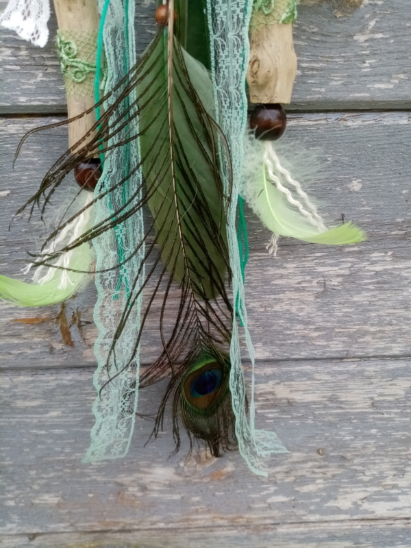 Plume de paon sur attrape rêve thème oiseaux