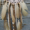 attrape-reve-theme-creme-et-marron
